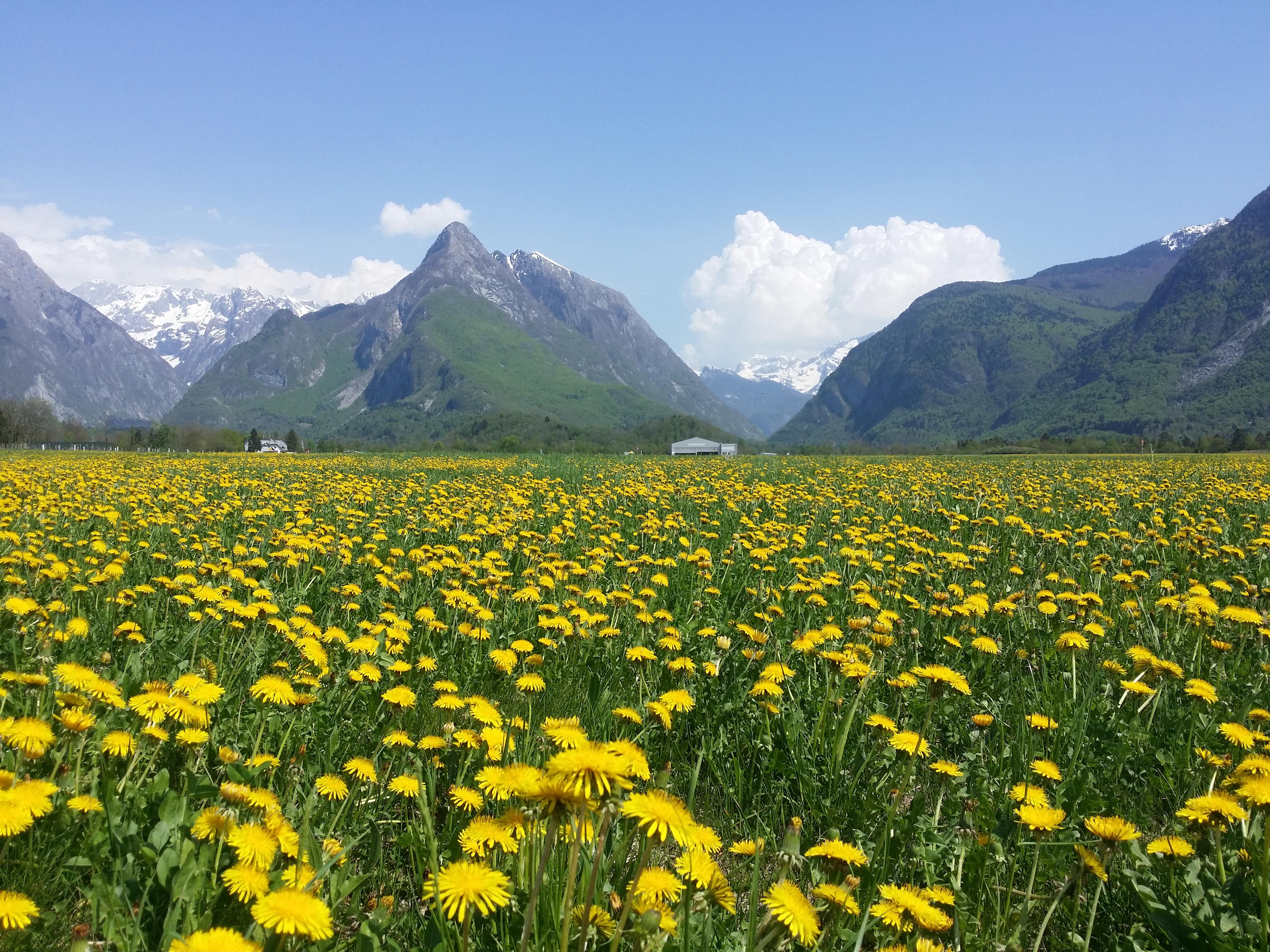 Mount Svinjak in spring.
